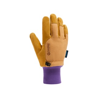 Gordini MTN Guide Glove - Women's 2026