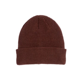 Coal The Bristol Beanie