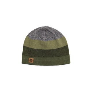 Turtle Fur Ocean Ragg Wool BTV Beanie