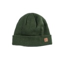 Coal The Harbor Beanie Olive image 1